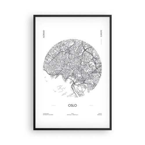 Plakát v černém rámu - Anatomie Osla - 61x91 cm