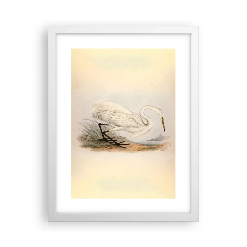 Plakát v bílém rámu - Paní rákosin - 30x40 cm