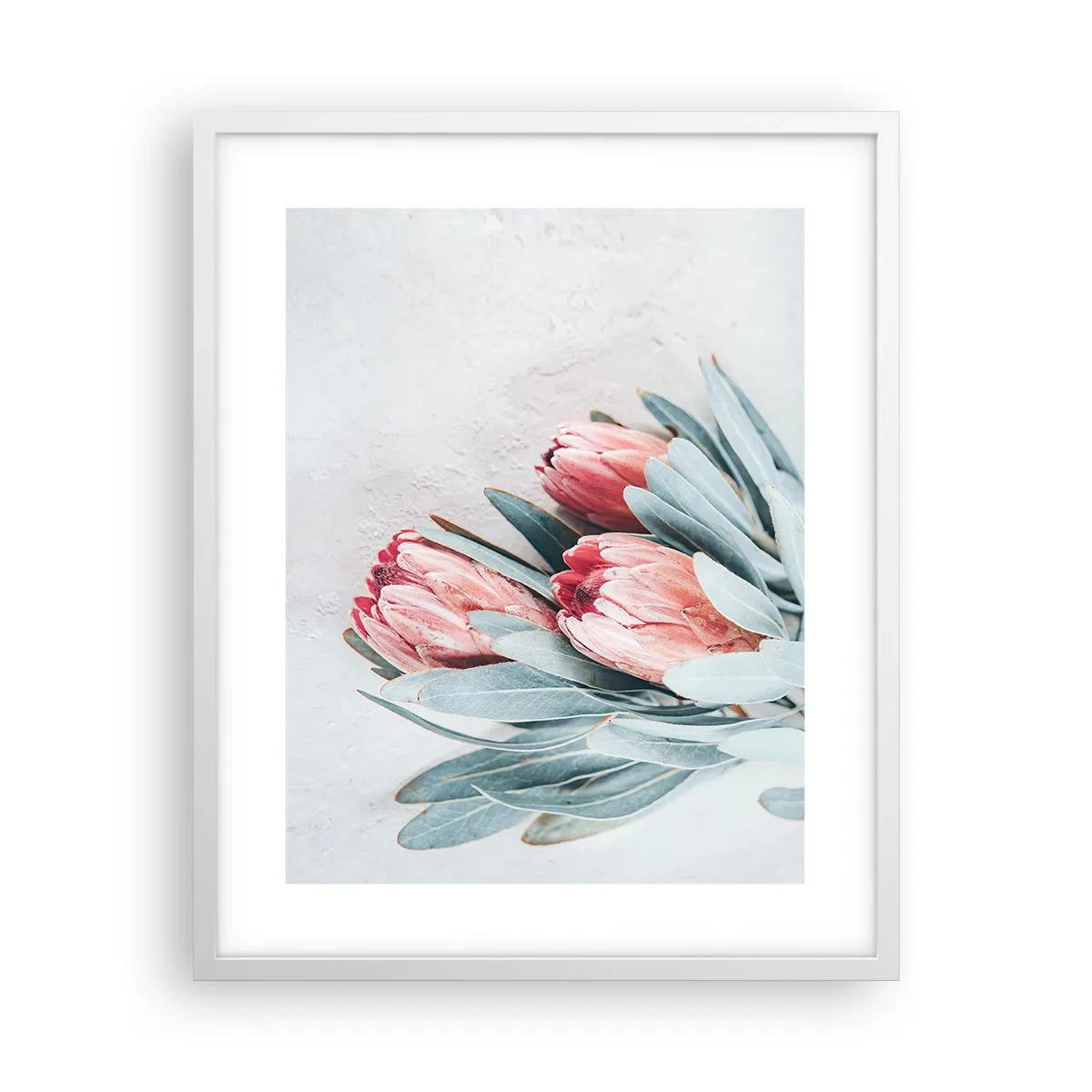 Plakát v bílém rámu - Zahanbené svou vlastní krásou - 40x50 cm