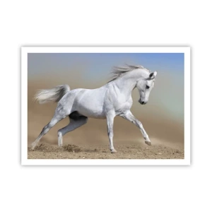 Plakát - Nejkrásnější arabská pohádka - 100x70 cm