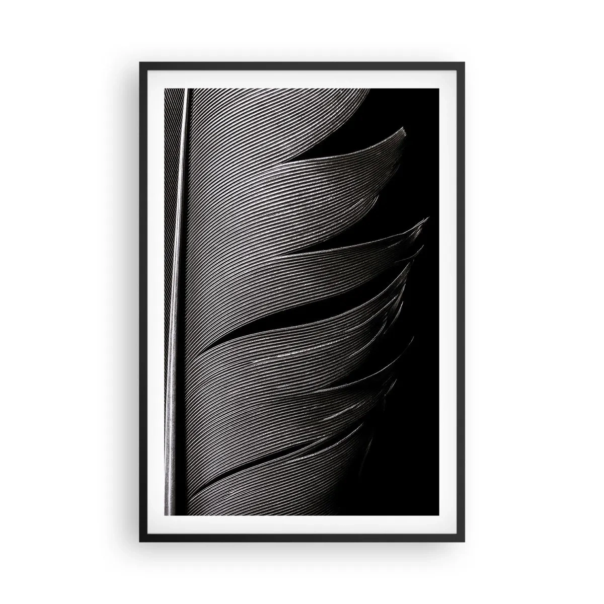Plakát v černém rámu - Peří – nádherná konstrukce - 61x91 cm