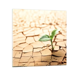 Obraz na skle - Nespoutaná síla života - 40x40 cm