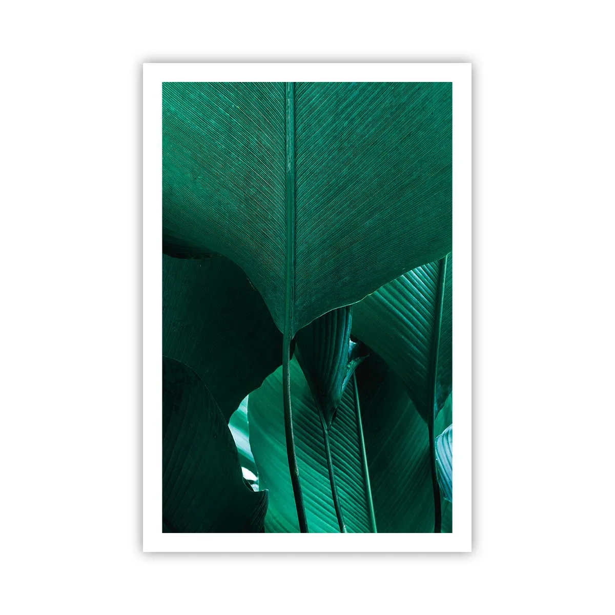 Plakát - Obrácené ke světlu - 61x91 cm