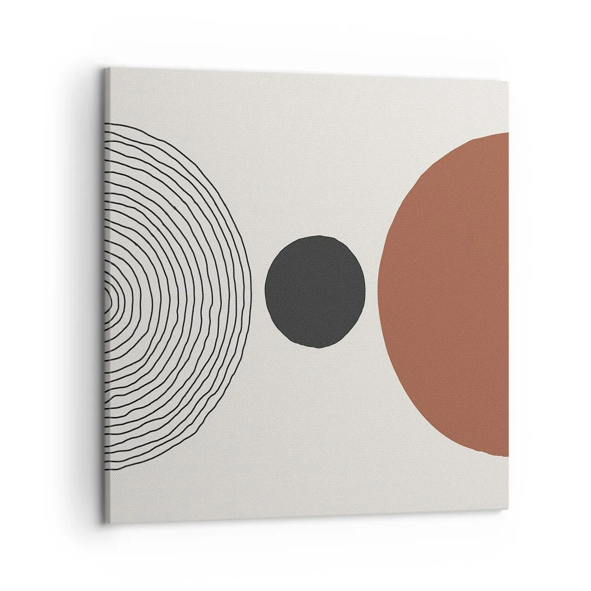 Obraz na plátně - V centru pozornosti - 50x50 cm