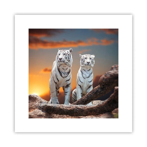 Plakát - Úplně jako v Narnii - 30x30 cm