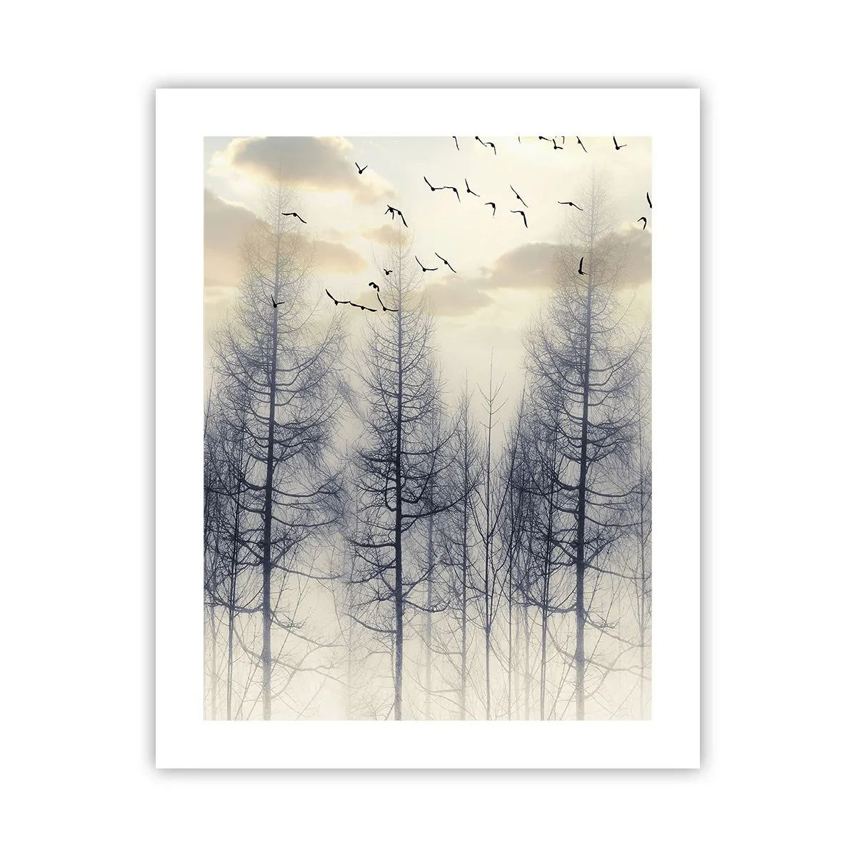 Plakát - Duchové lesa - 40x50 cm