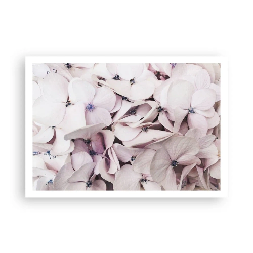 Plakát - V záplavě květin - 100x70 cm