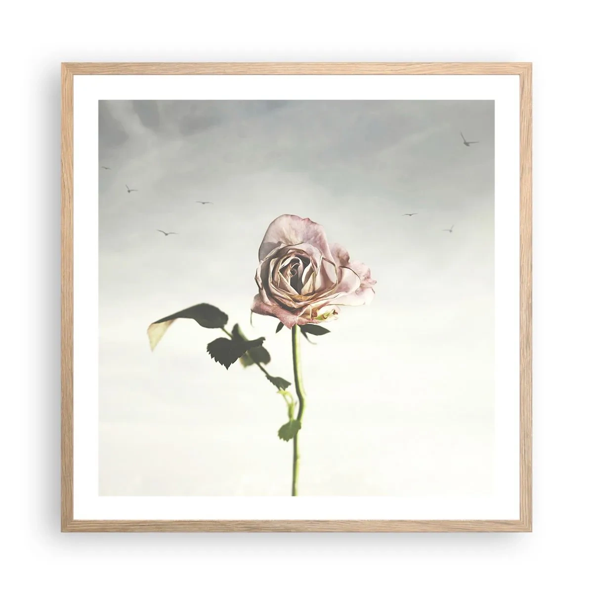 Plakát v rámu světlý dub - Vítání jara - 60x60 cm