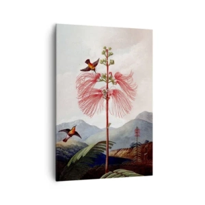 Obraz na plátně - V tropickém ráji - 70x100 cm