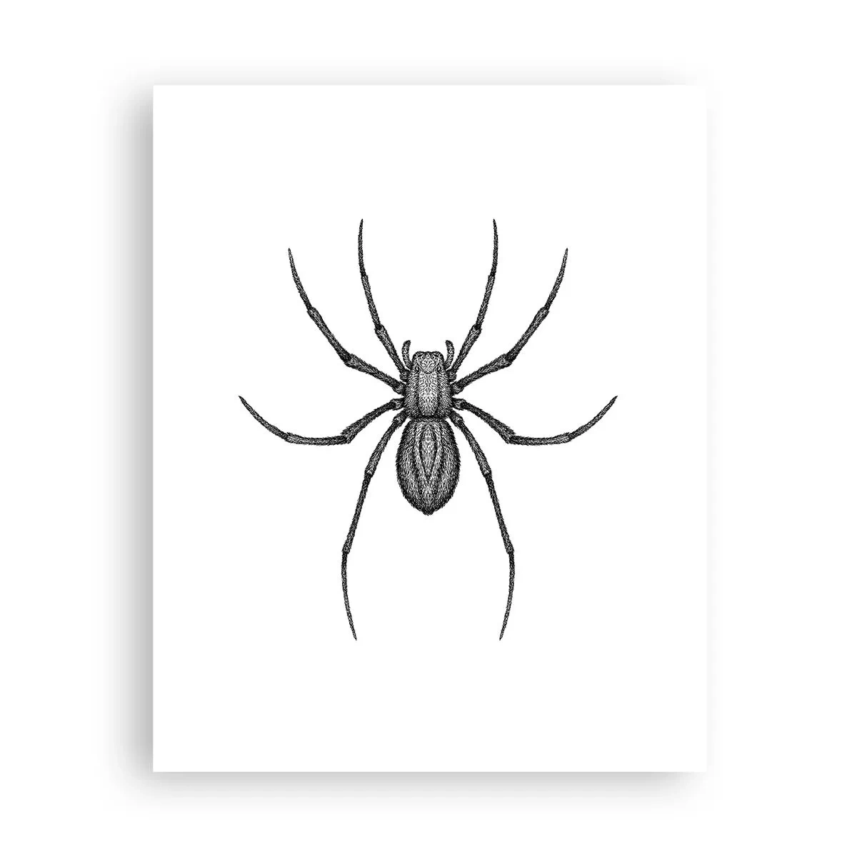 Plakát - Znepokojivá přesnost - 40x50 cm