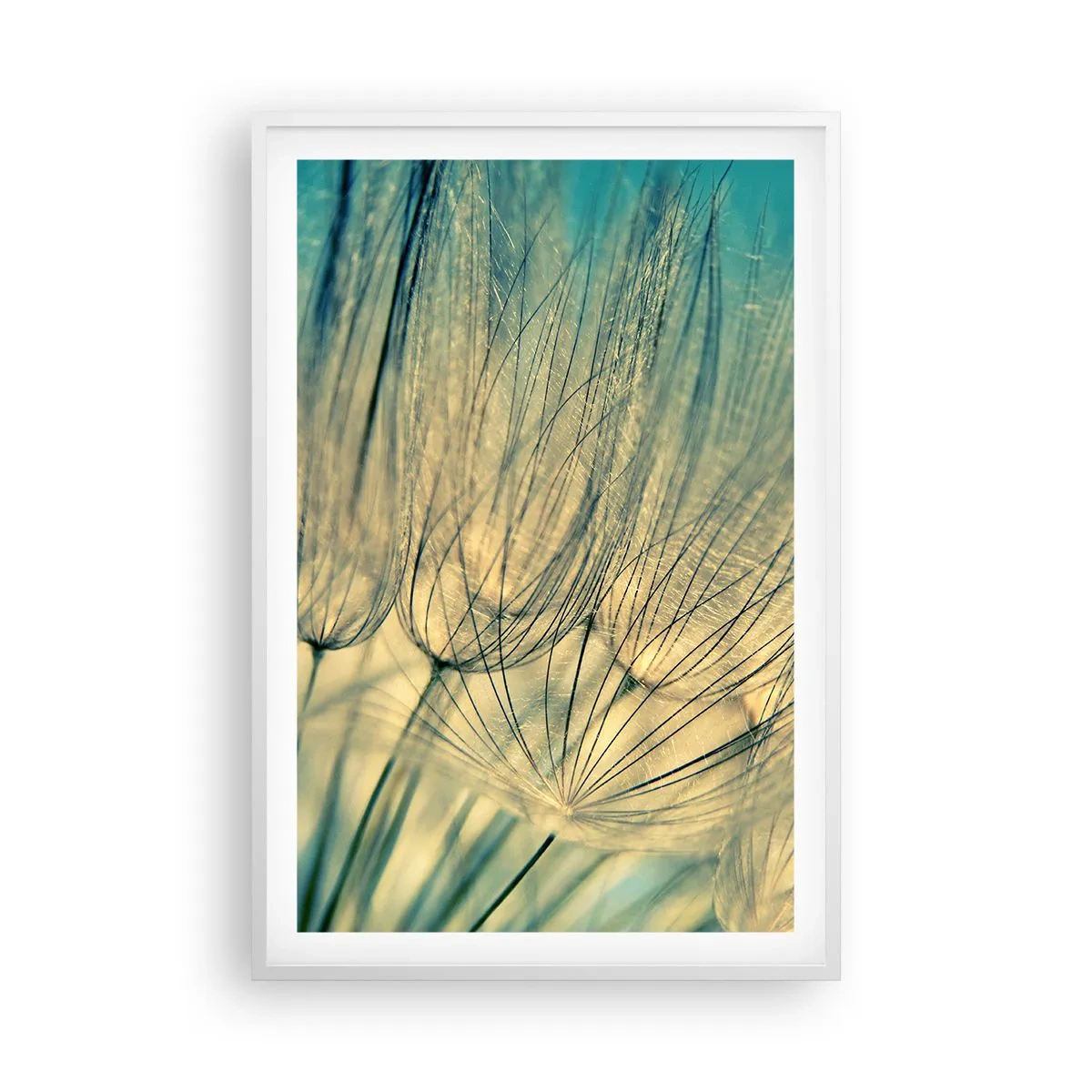 Plakát v bílém rámu - Čekání na vítr - 61x91 cm