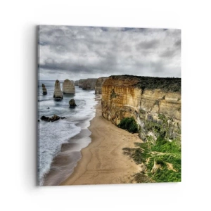 Obraz na plátně - Drsná krása - 70x70 cm