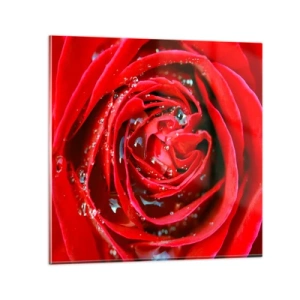 Obraz na skle - V kapkách rosy - 60x60 cm