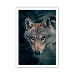 Plakát - Predátor - 70x100 cm