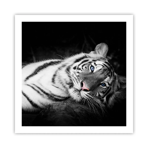 Plakát - Divočina a klid - 60x60 cm