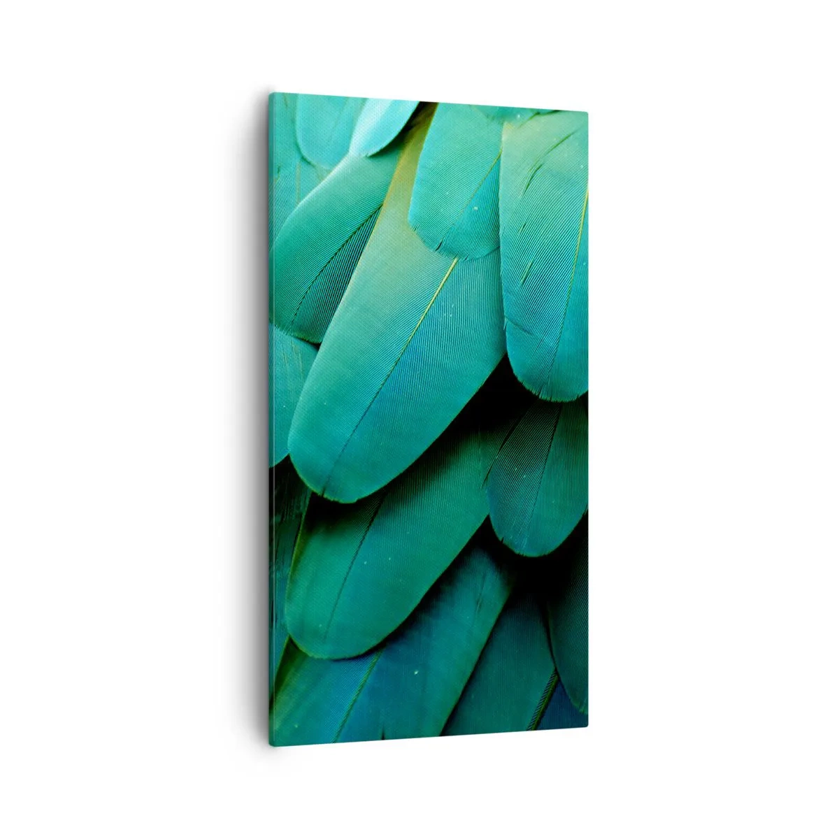 Obraz na plátně - Přesnost papouščí povahy - 55x100 cm