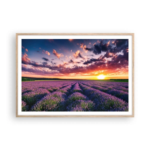 Plakát v rámu světlý dub - Levandulový svět - 100x70 cm