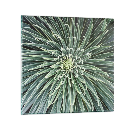 Obraz na skle - Zrození hvězdy - 70x70 cm