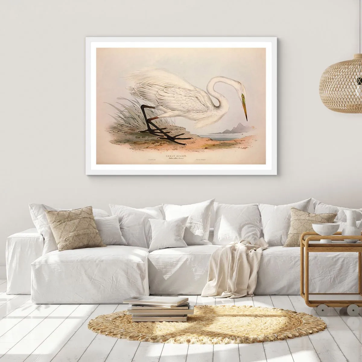 Plakát v bílém rámu - Paní rákosin - 91x61 cm