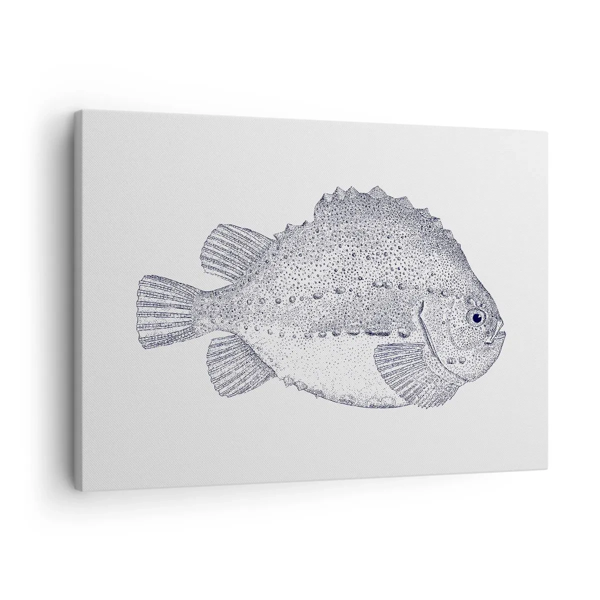 Obraz na plátně - Černobílá kresba ryby na bílém pozadí v minimalistickém stylu - 70x50cm - Do alba přírodovědce - Moderní nástěnná dekorace do obývacího pokoje a ložnice ARTTOR