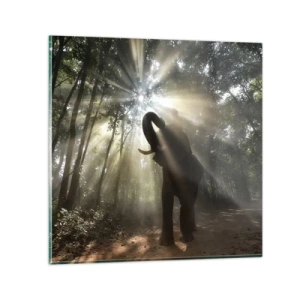 Obraz na skle - Pod šťastnou hvězdou - 50x50 cm