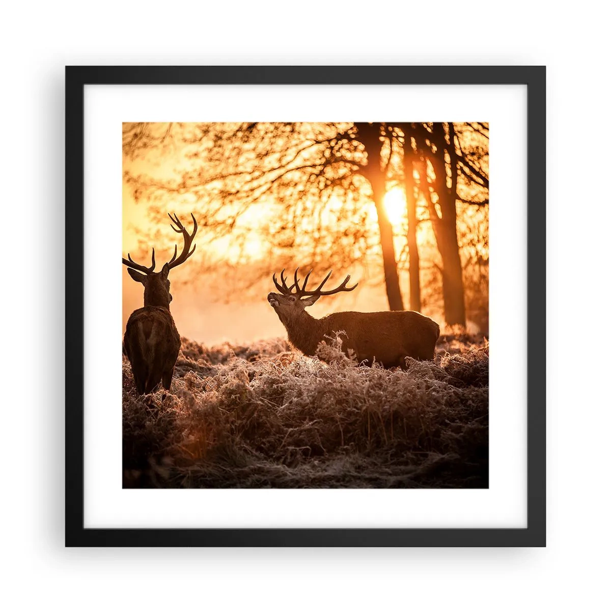 Plakát v černém rámu - Sen myslivce - 40x40 cm