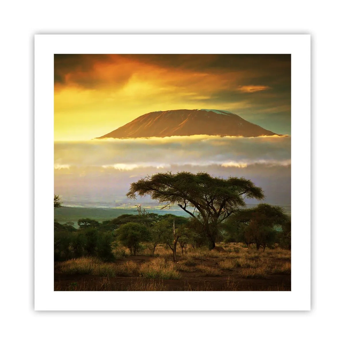 Plakát - Sen cestovatele - 50x50 cm