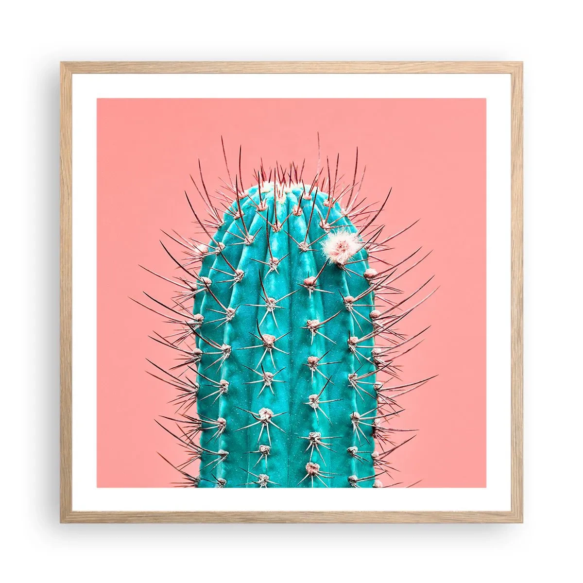 Plakát v rámu světlý dub - Jen koukej - 60x60 cm