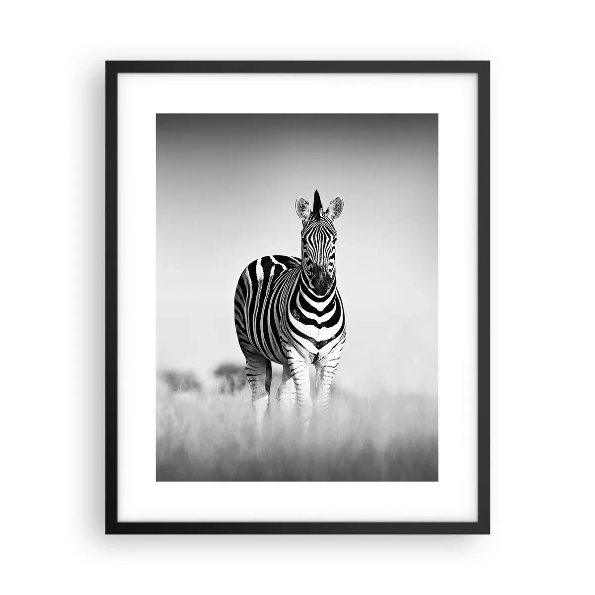 Plakát v černém rámu - A přesto je svět černo-bílý - 40x50 cm