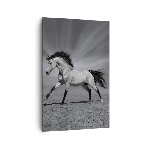 Obraz na plátně - Zrozen pro potěšení - 80x120 cm