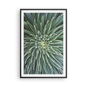 Plakát v černém rámu - Zrození hvězdy - 61x91 cm