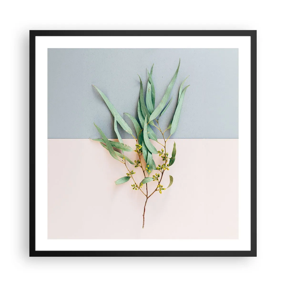 Plakát v černém rámu - Pastelová jemnost - 60x60 cm