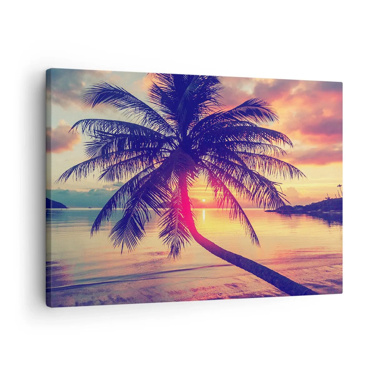 Obraz na plátně - Večer pod palmami - 70x50 cm