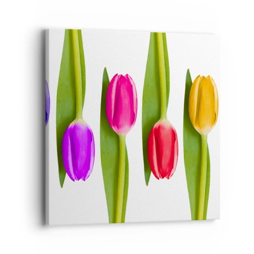 Obraz na plátně - Duhová kompozice - 40x40 cm