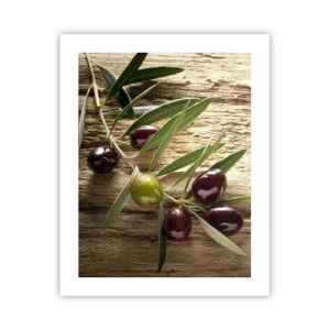 Plakát - Přímo od přírody - 40x50 cm