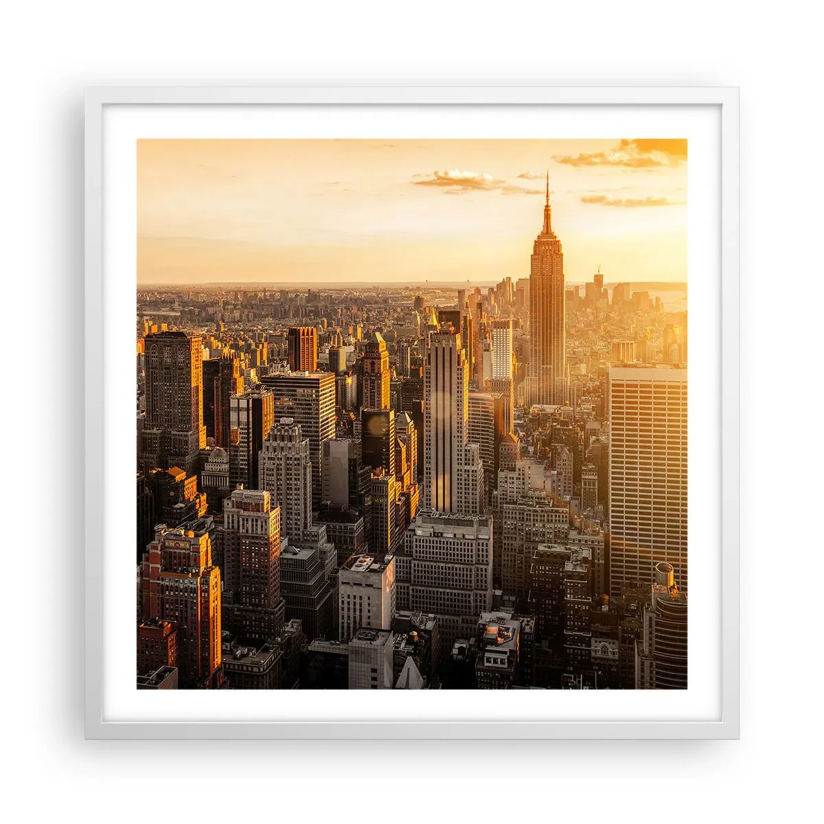 Plakát v bílém rámu - Růst na slunci - 60x60 cm