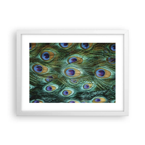 Plakát v bílém rámu - Paví pohled - 40x30 cm