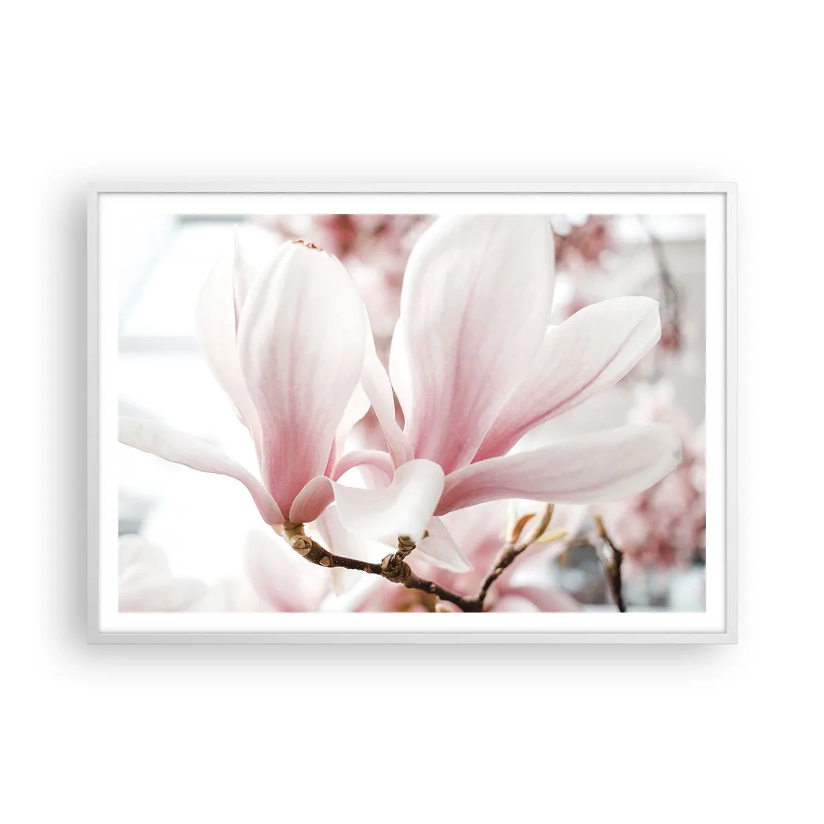 Plakát v bílém rámu - Nesmírnost něžnosti - 100x70 cm