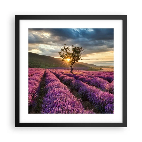 Plakát v černém rámu - Aroma v barvě lila - 40x40 cm