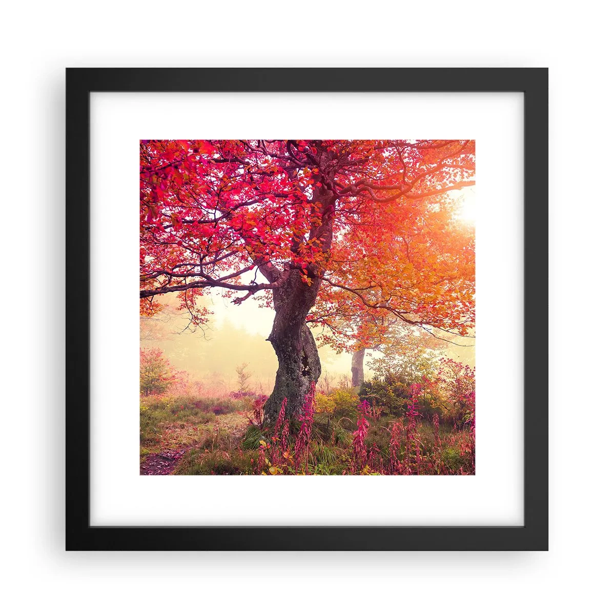 Plakát v černém rámu - Šílenství rozkvětu - 30x30 cm
