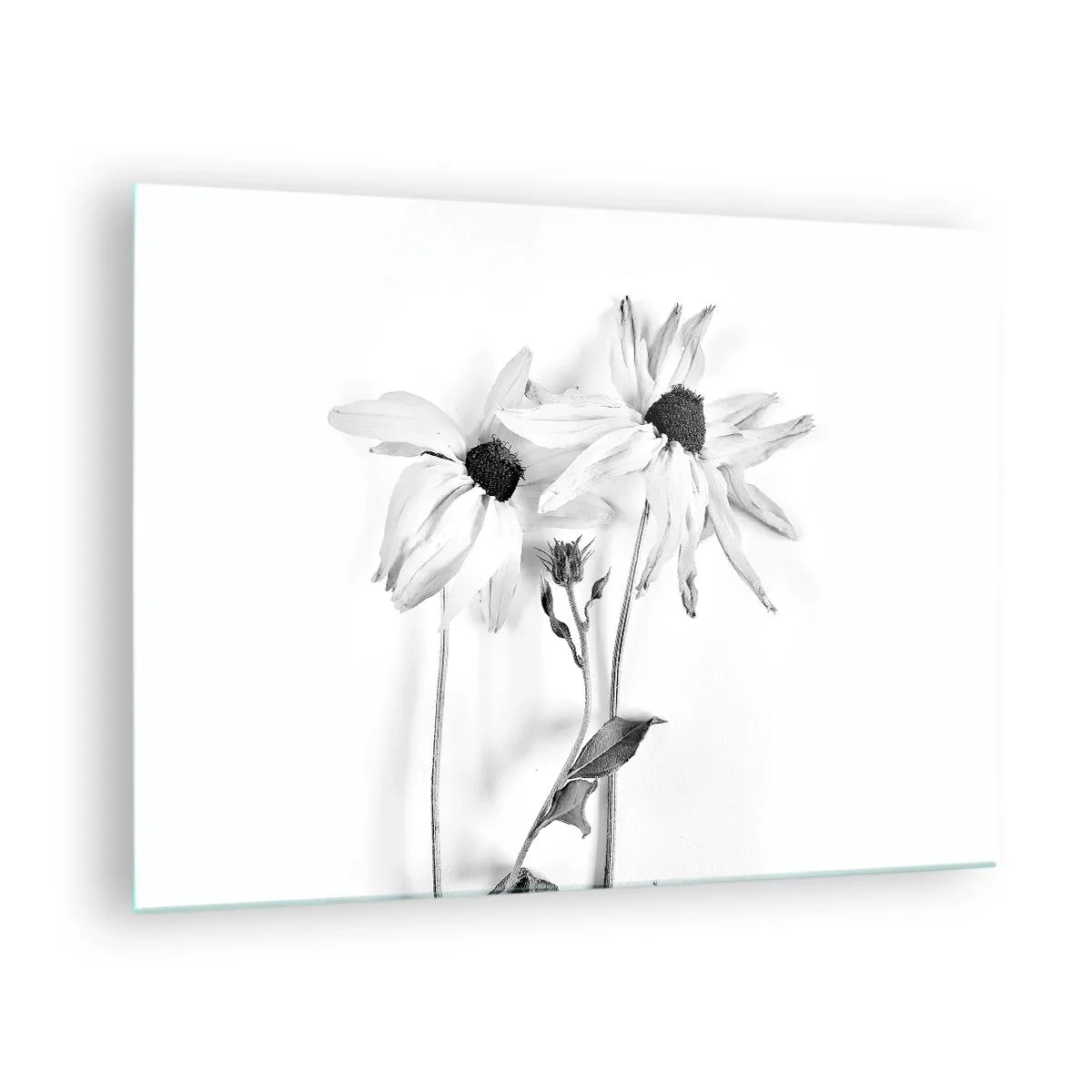 Obraz na skle - Černobílé květiny v minimalistickém stylu - 70x50cm - Nikdo nechce být sám - Moderní nástěnná dekorace do obývacího pokoje a ložnice ARTTOR