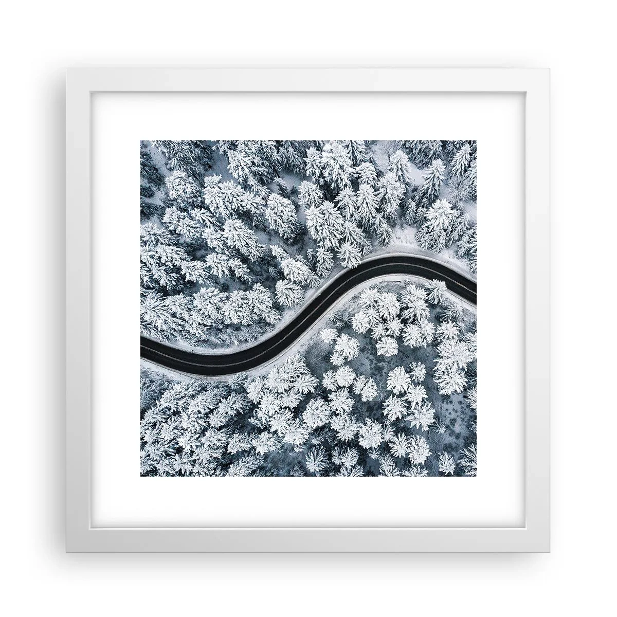 Plakát v bílém rámu - Zimním lesem - 30x30 cm