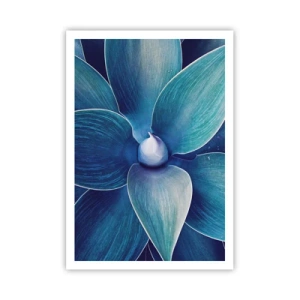 Plakát - Namodralý od nebe - 70x100 cm