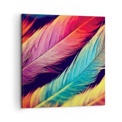 Obraz na plátně - Opeřená duha - 60x60 cm
