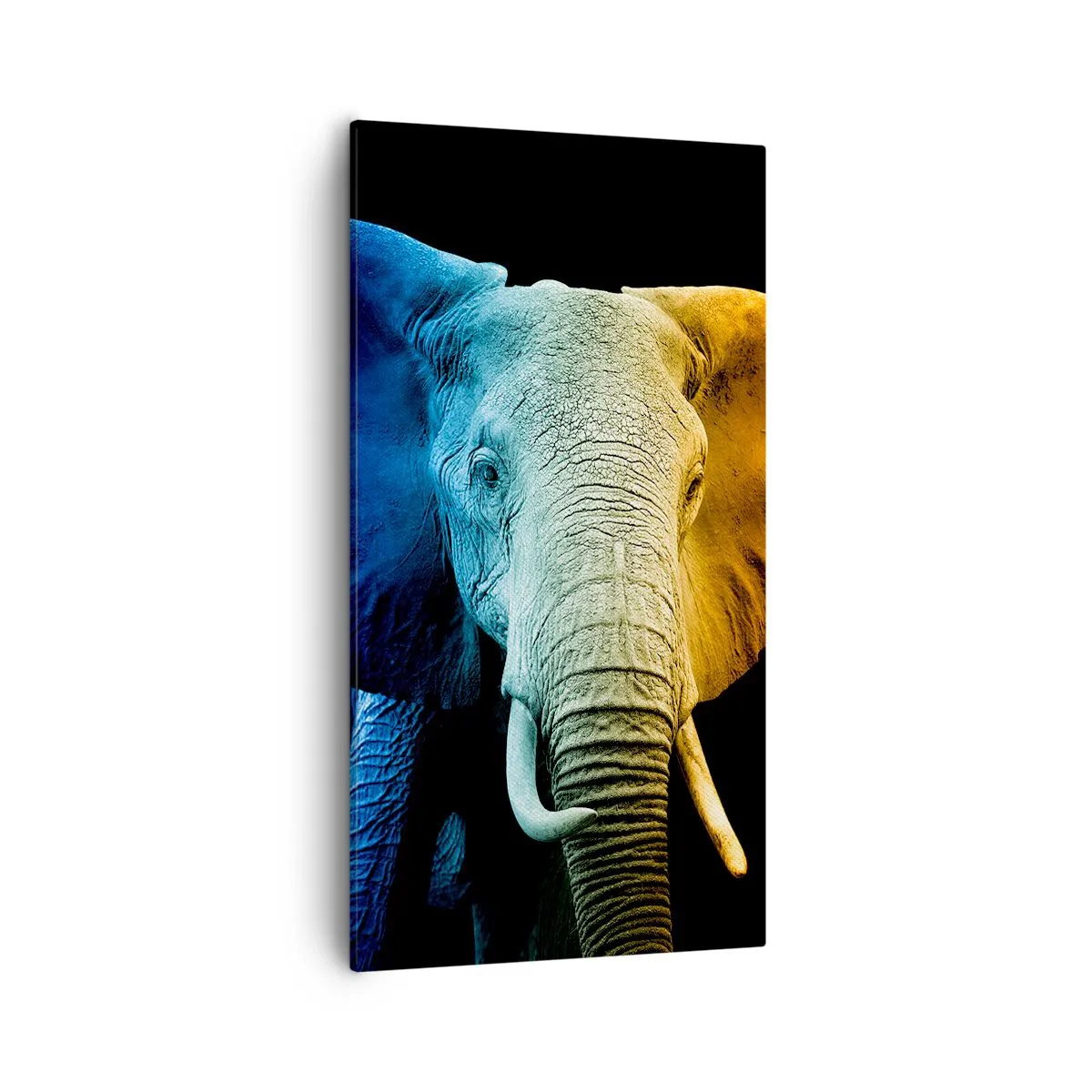 Obraz na plátně - Výstřední muž, ale ne podivín - 55x100 cm