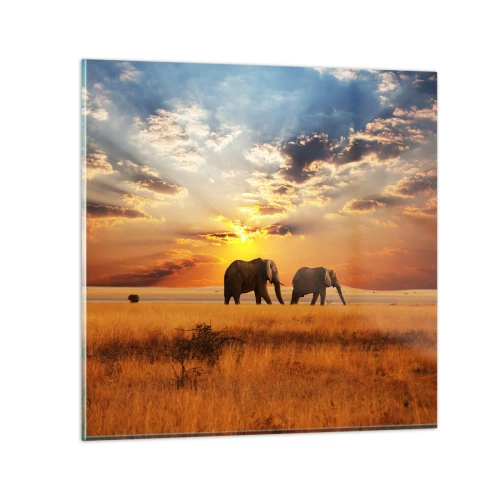 Obraz na skle - Rodinná procházka - 70x70 cm