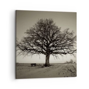 Obraz na plátně - Odtud až na věčnost - 50x50 cm