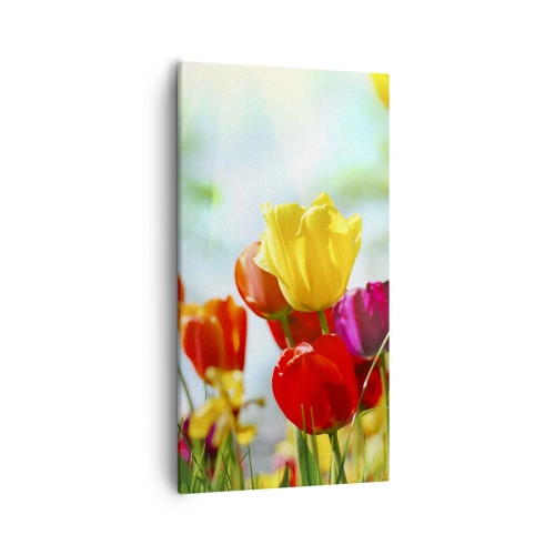 Obraz na plátně - Všechny barvy slunce - 55x100 cm