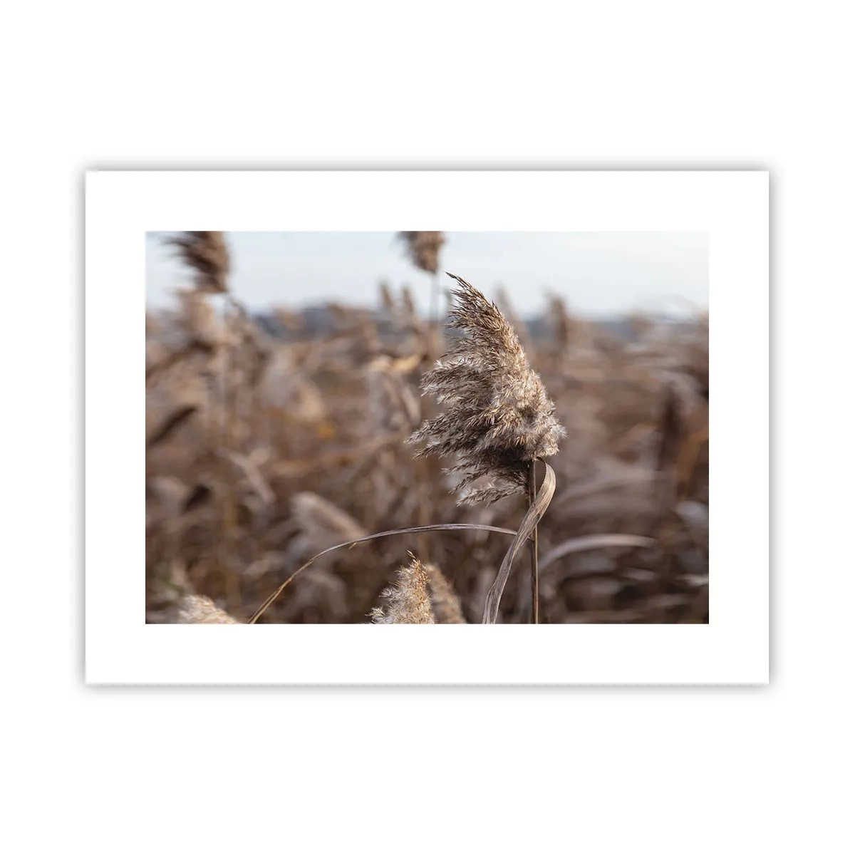 Plakát - Čas odletět s větrem - 40x30 cm