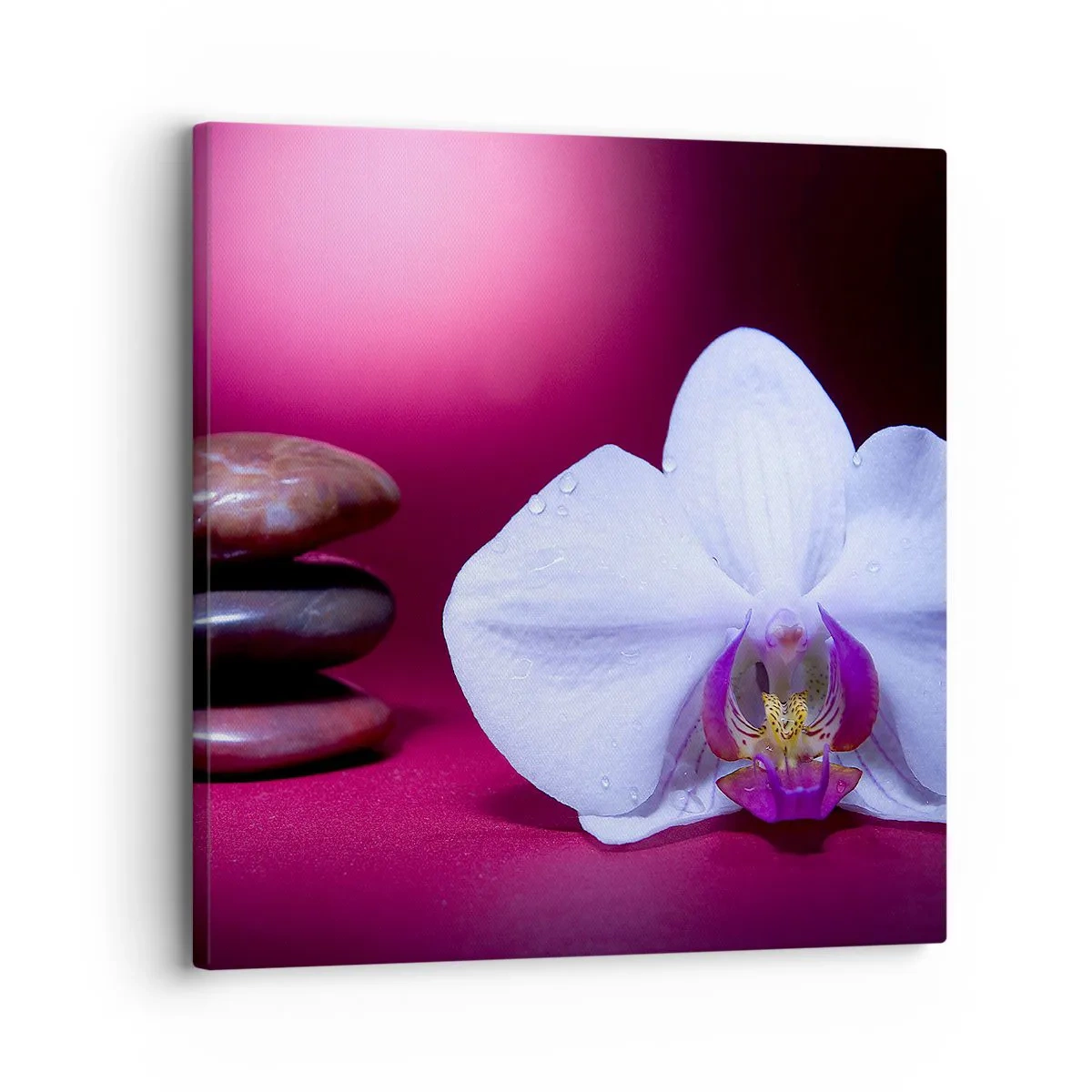 Obraz na plátně - Studie svěžesti ve fialové - 30x30 cm